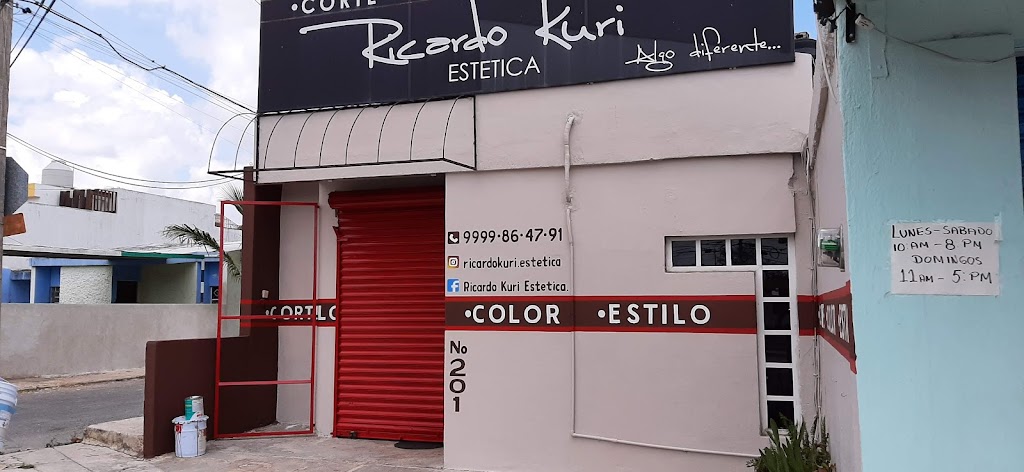 Ricardo Kuri Estetica