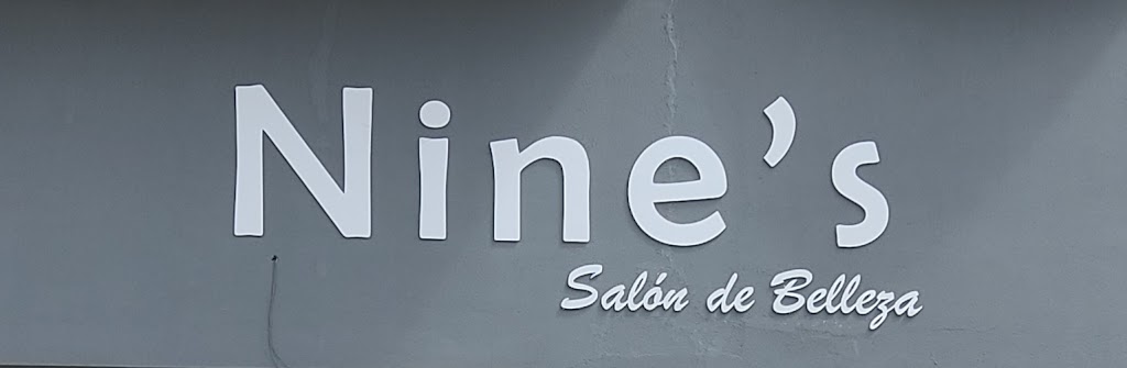 PELUQUERIA Y BELLEZA NINES — Del propietario