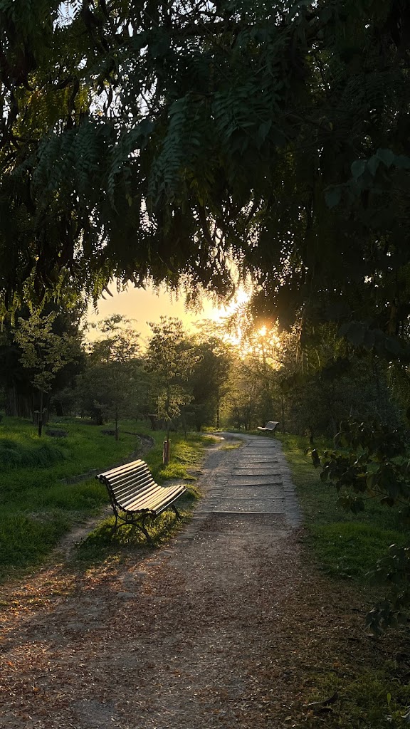 Pinar de Prado Redondo