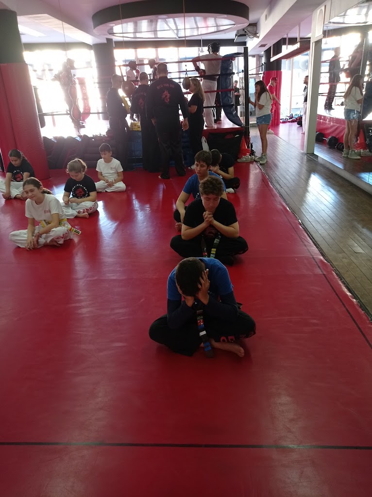 Ryu San Do Caballero Artes Marciales — Arte marcial