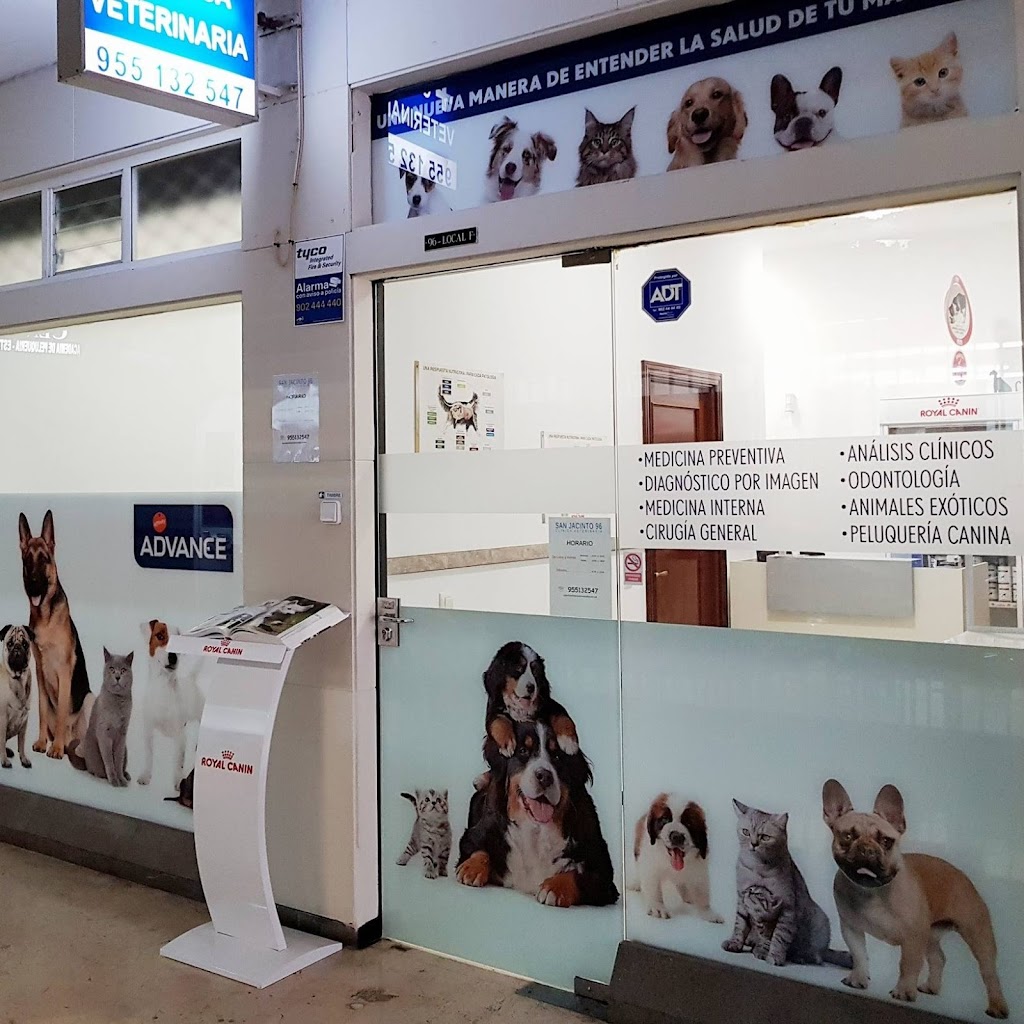 Clinica Veterinaria San Jacinto