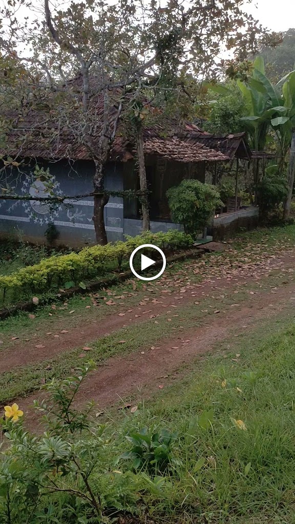 Videos