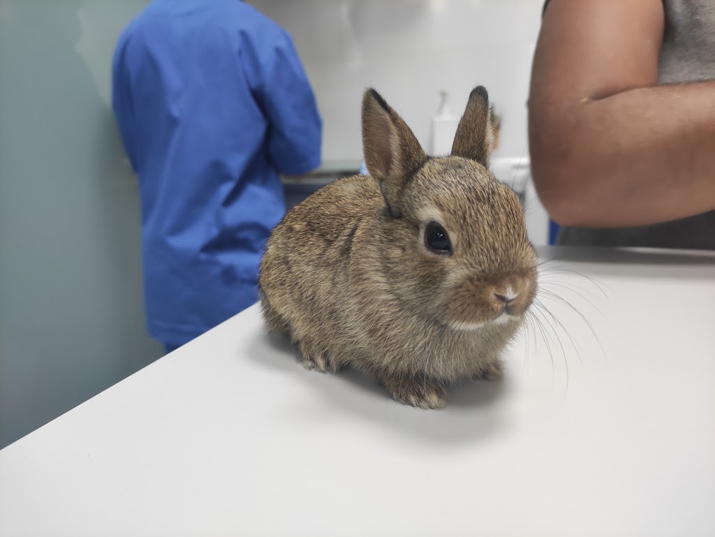 Clinica Veterinaria La Paz — Del propietario
