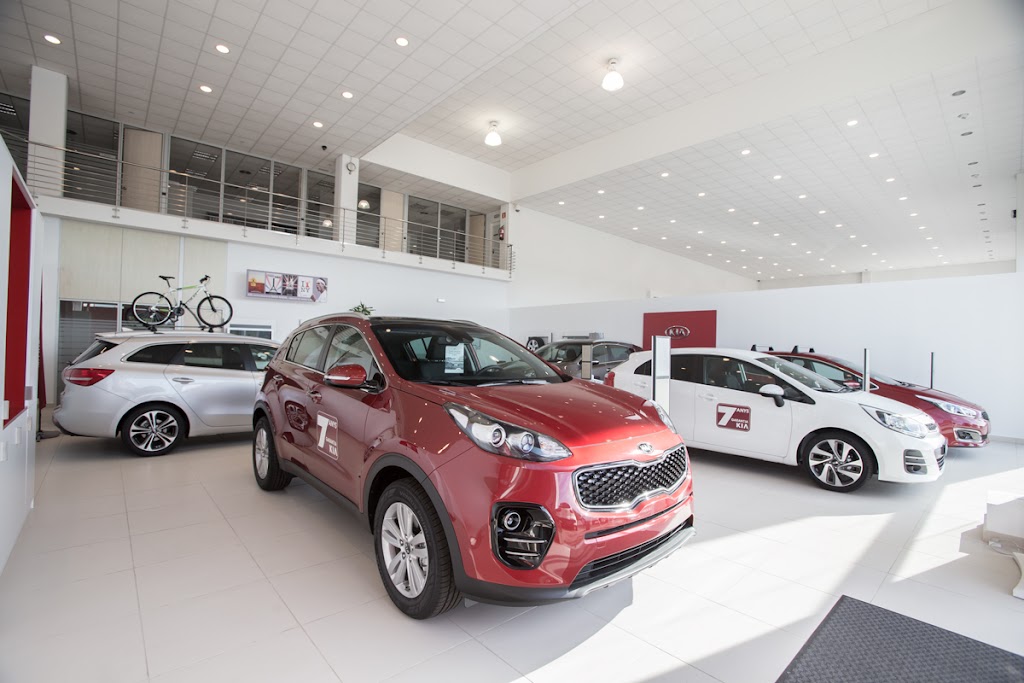 Mercauto Group — Interior