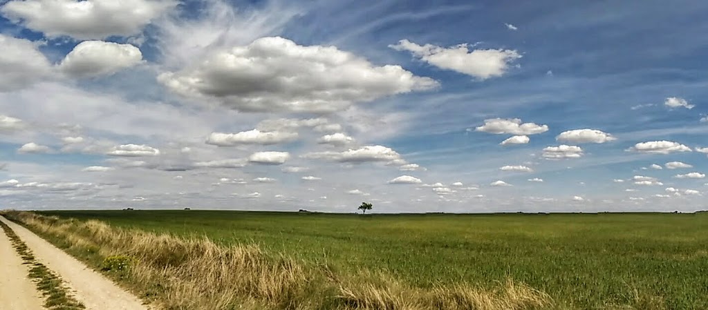 Cerro del Aguila