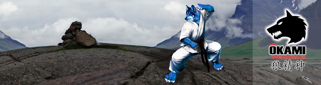 Club Deportivo Okami - Artes Marciales