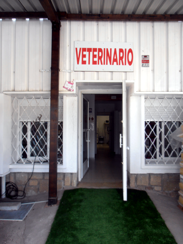 CLINICA ALVIS GREDOS-URGENCIAS Y CONSULTAS VETERINARIAS-