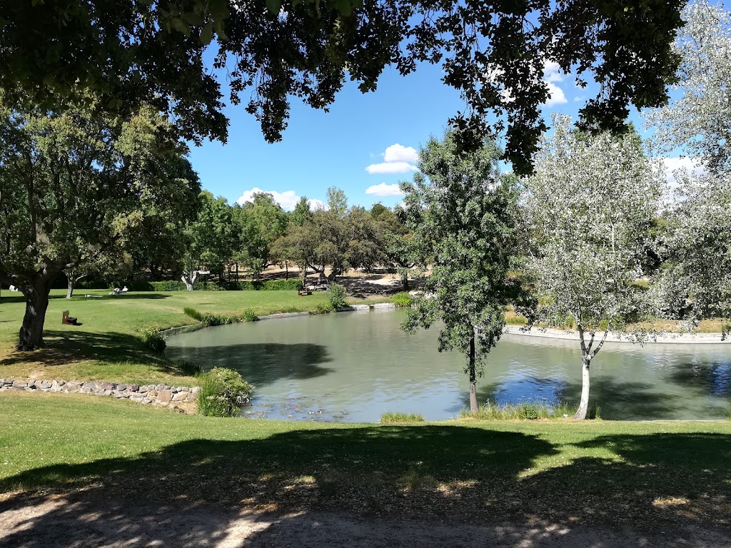 Pista de Hielo del Club Las Encinas de Boadilla