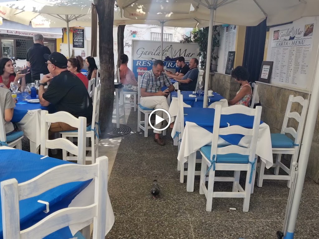 Restaurante El Gavilan del Mar Estepona — Videos