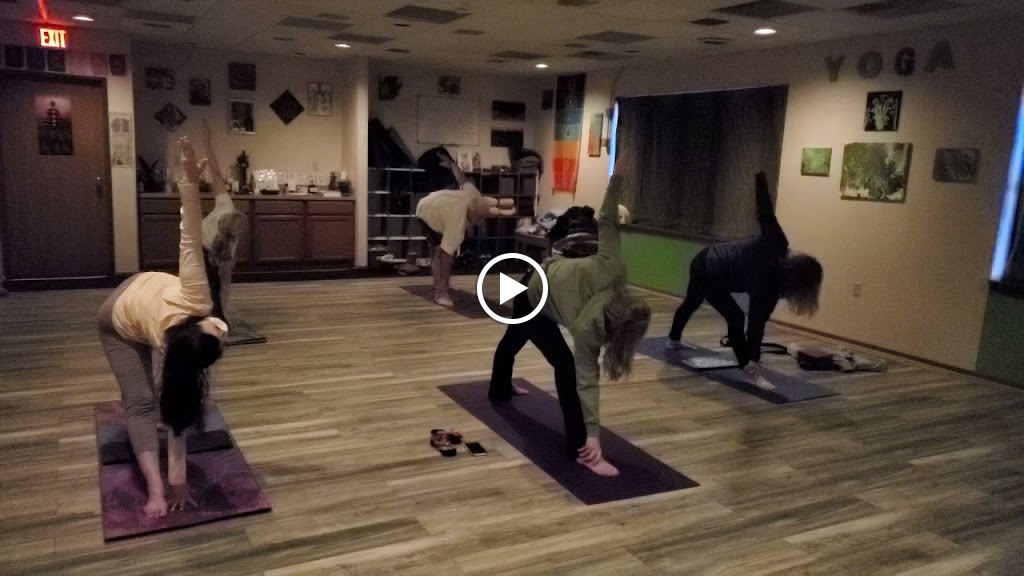  Lipa Yoga & Tai Chi Studio