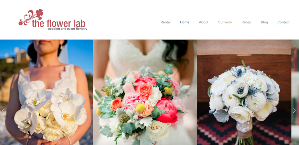 Diane Frierson Responsive Website Developer