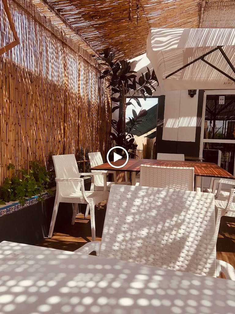 El Tou Oliva — Ambiente