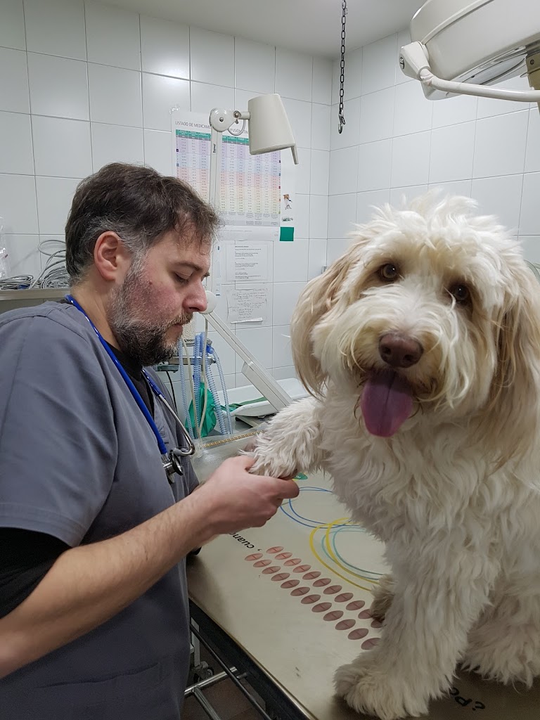 CENTRO VETERINARIO PRADO DE BOADILLA