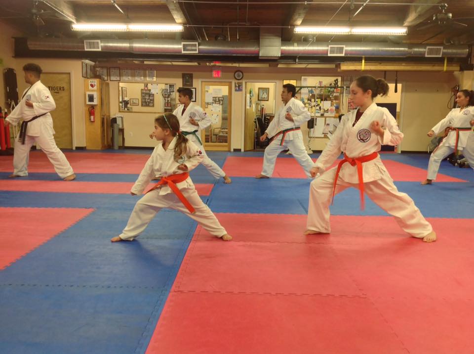  Costa's Tang Soo Do