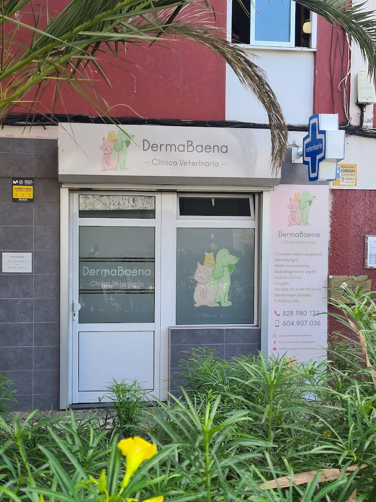 Clinica Veterinaria DermaBaena