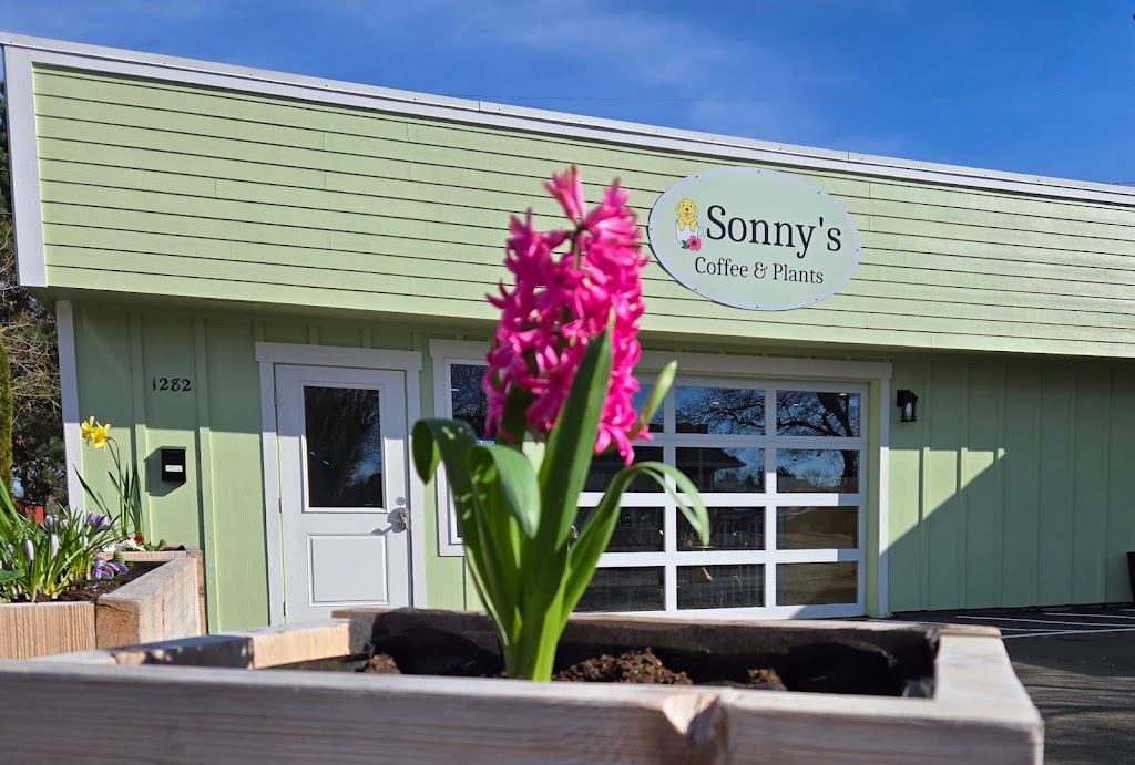 Photo of Sonny's Coffee and Plants