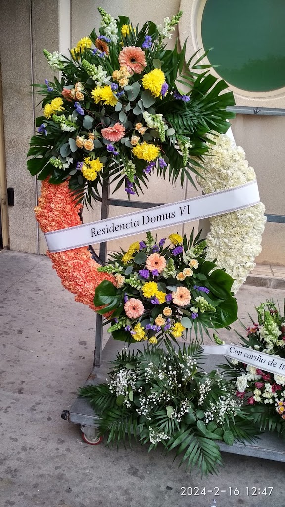 DomusVi | San Vicente — De los visitantes