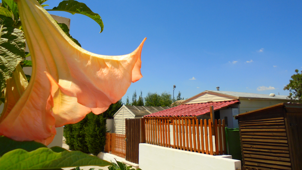The Castle Bar at Camping Castillejo