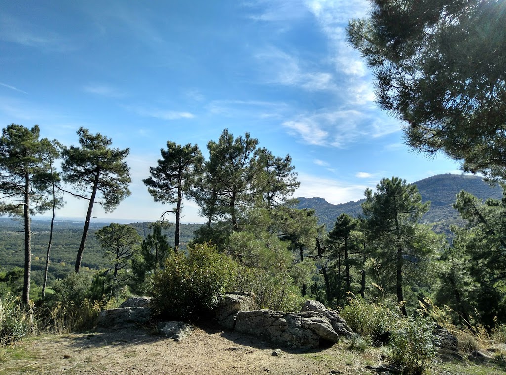 Virgen del Camino de la Horizontal