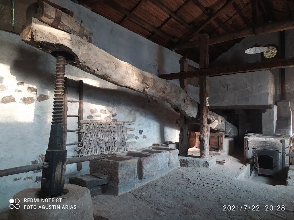 Aula Apicola Azuqueca de Henares