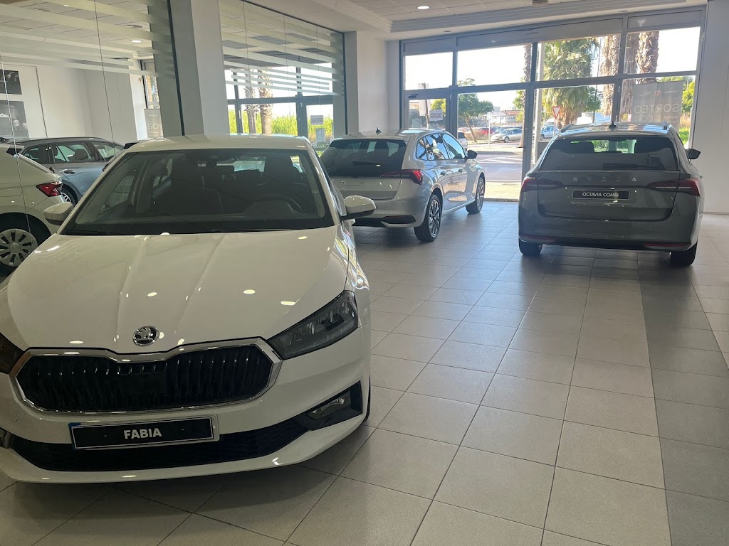 Motor Pacifico - Concesionario Oficial Skoda en Alzira — Todas