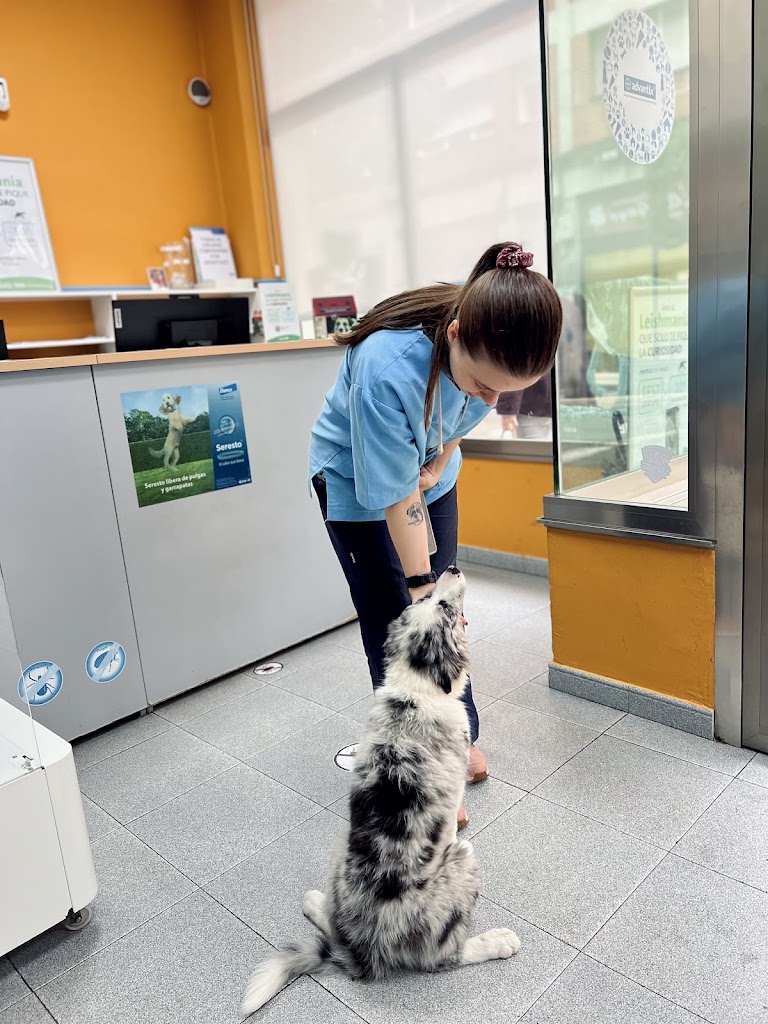 Clinica Veterinaria Tea Ponteareas — Del propietario