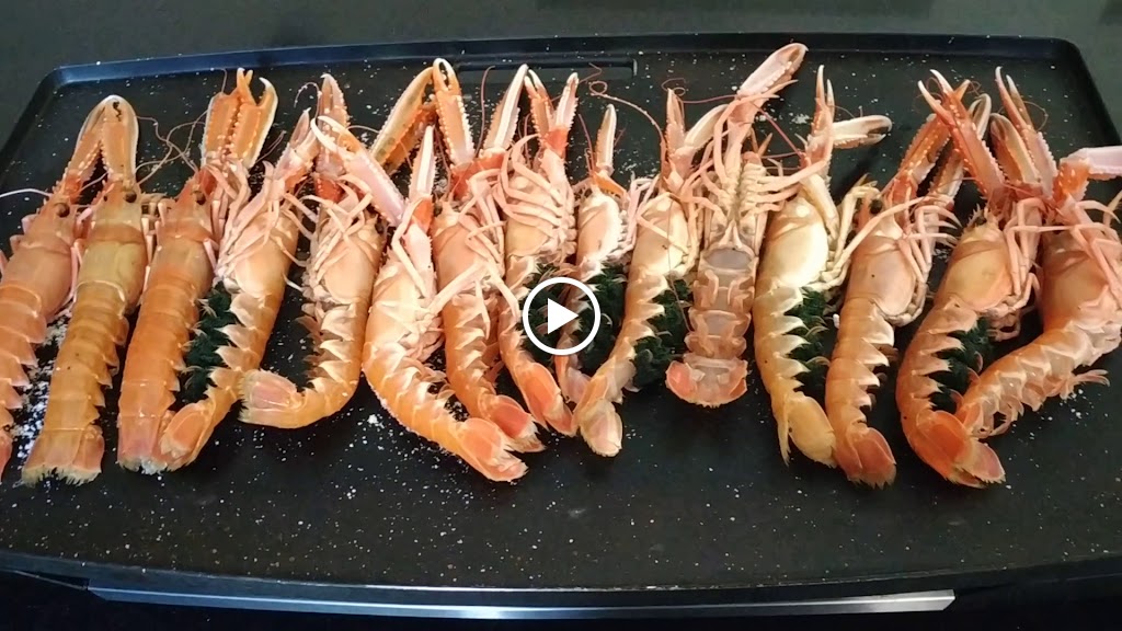 Bar La Mossegada — Videos