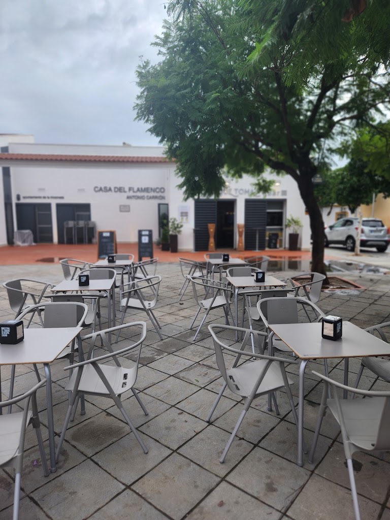 TOMA QUE TOMA Bar Restaurante — Ambiente