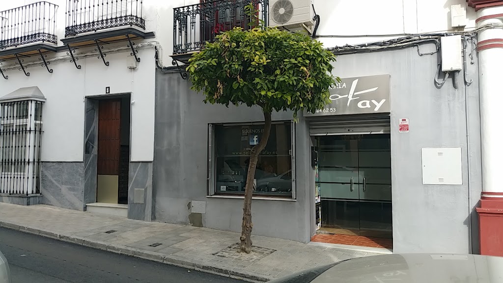 Peluqueria Fay