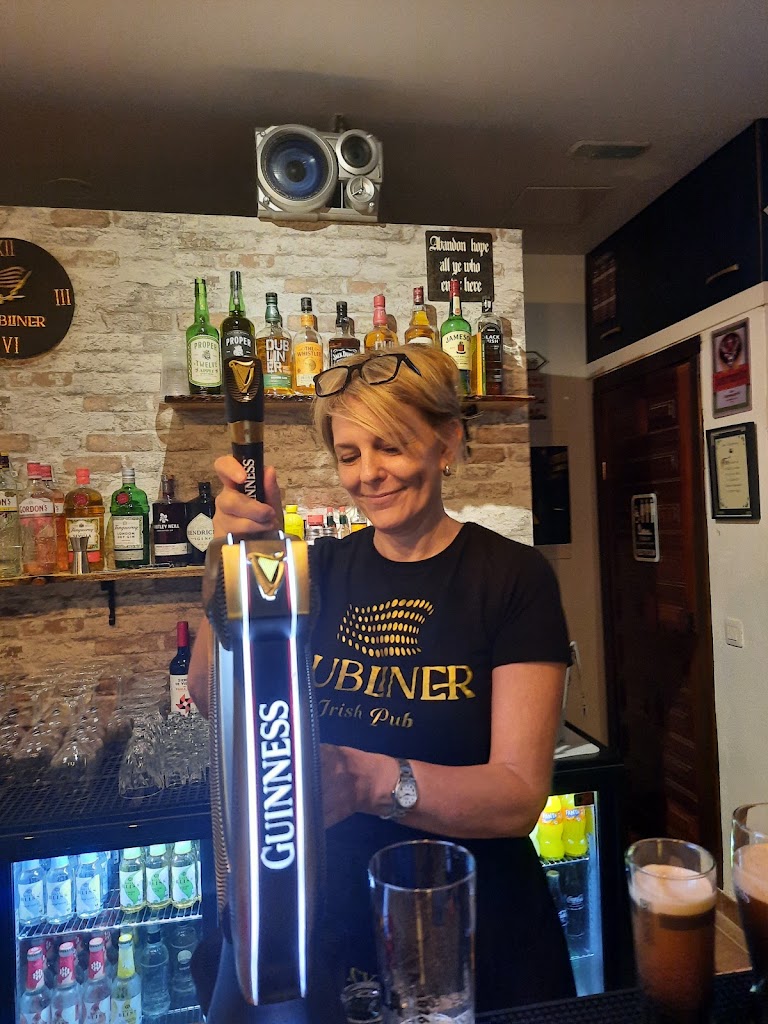 Dubliner Irish bar — Bar
