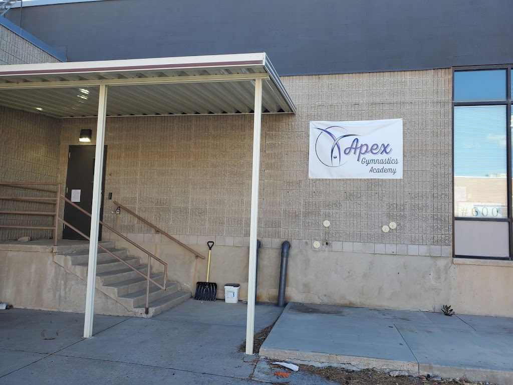  Apex Gymnastics Academy