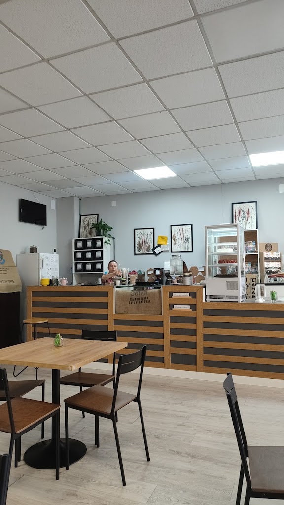 Colibri Coffee — Ambiente