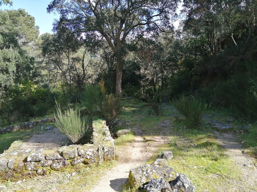 Subida ao Castro de Santome