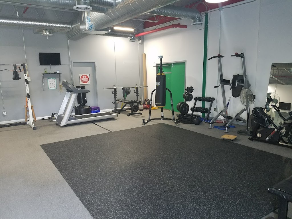  FitSpirit International Fitness, Inc.