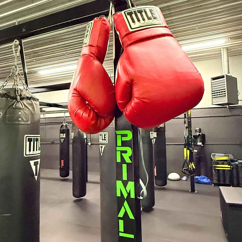  Primal Boxing and Fitness