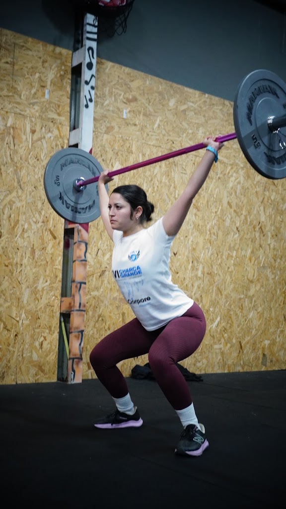 MKTRAINING BOX — Del propietario