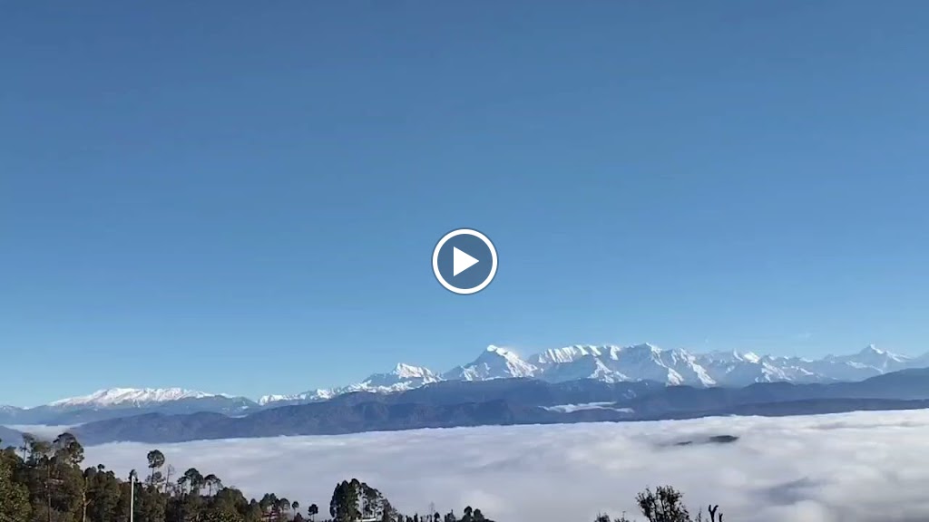 Videos
