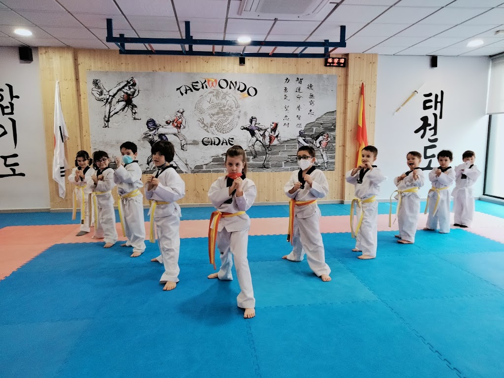 GIDAE TAEKWONDO ALCAZAR DE SAN JUAN