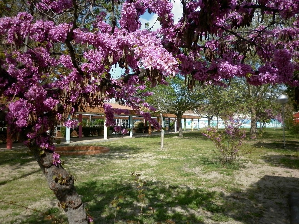 Escuela Oficial de Idiomas de Aranjuez — Del propietario