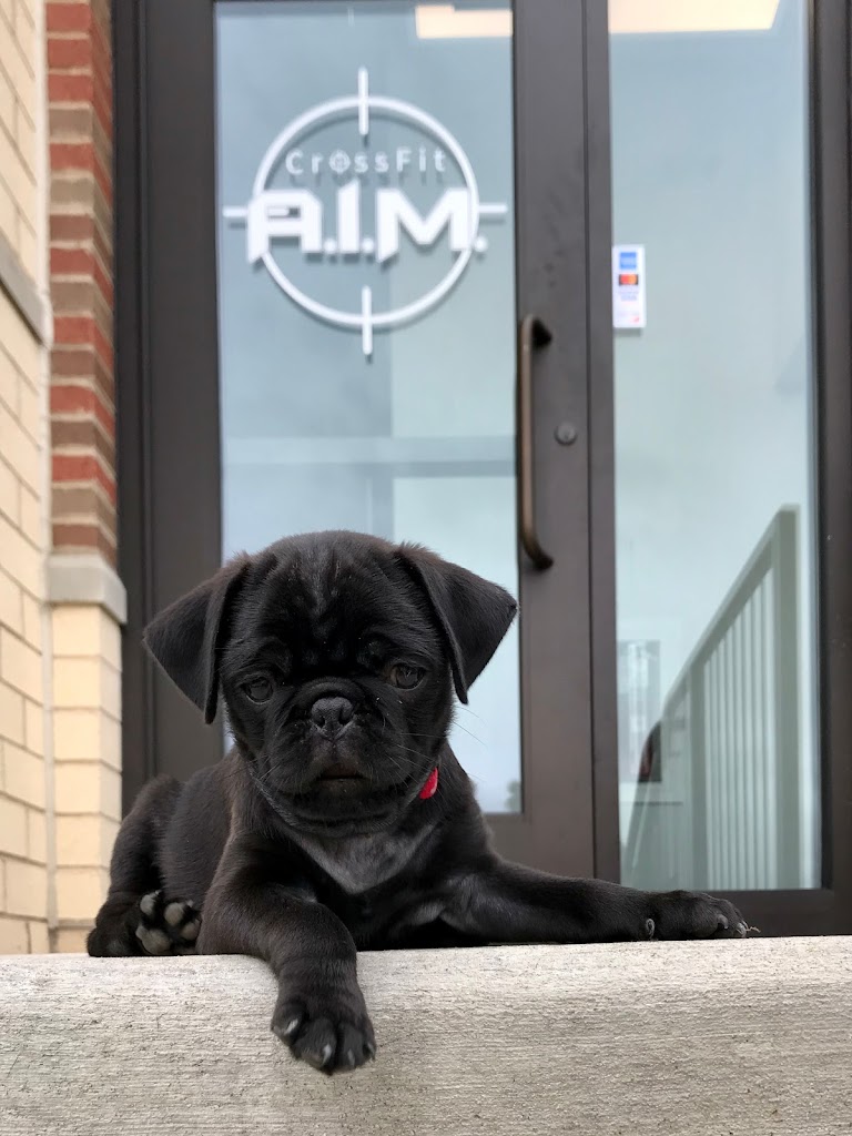  CrossFit A.I.M.