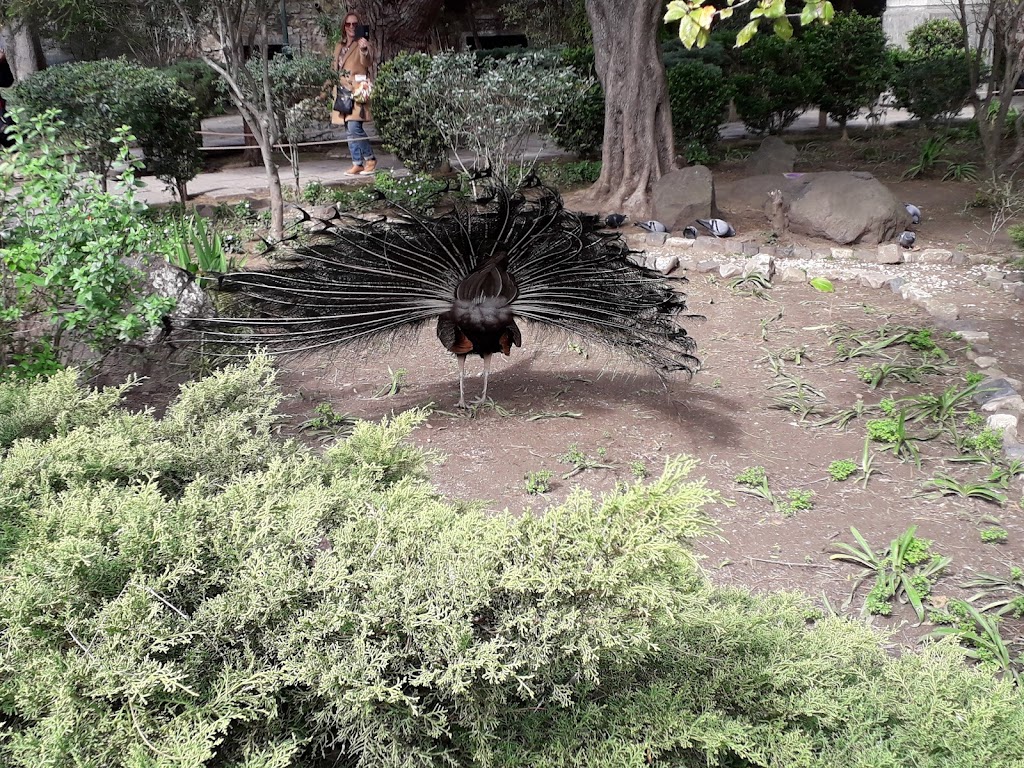 From visitors
