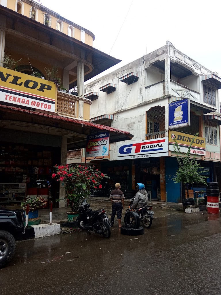 Tenaga Motor