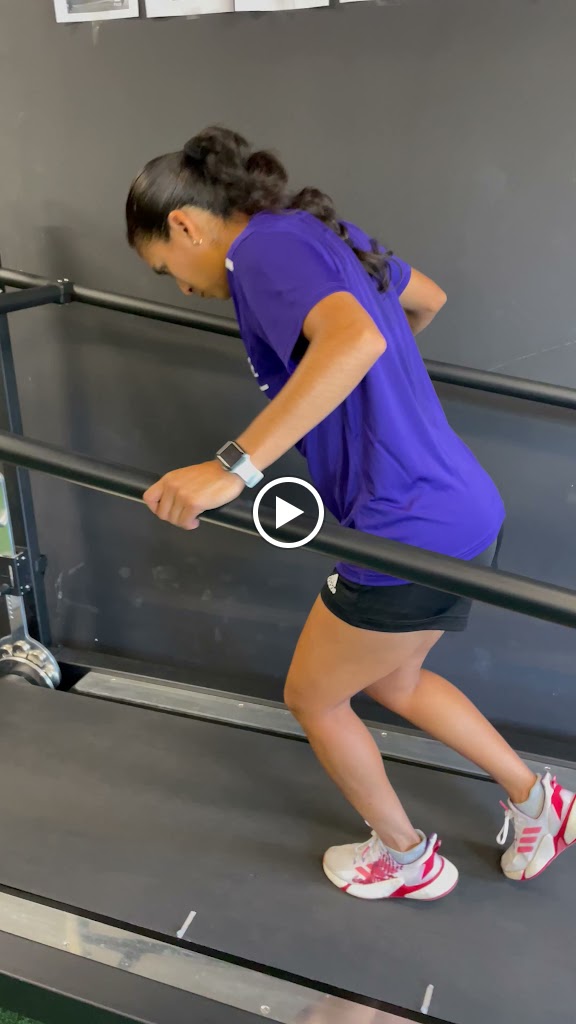  Limit Lifters Elite Training and Mentorship