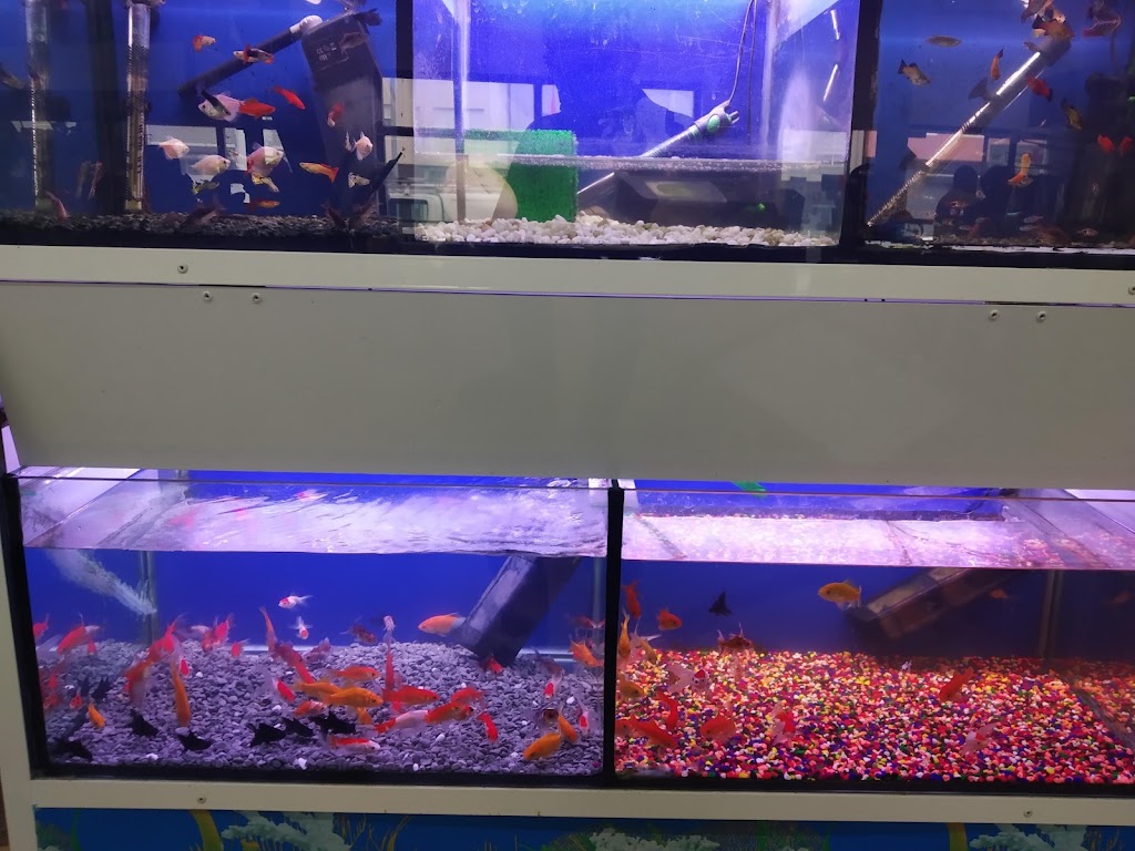 Severiano Agrocomercial Vilalba