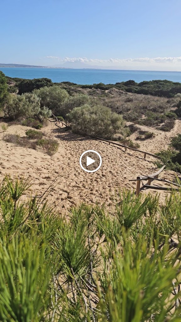 Aparcamiento — Videos