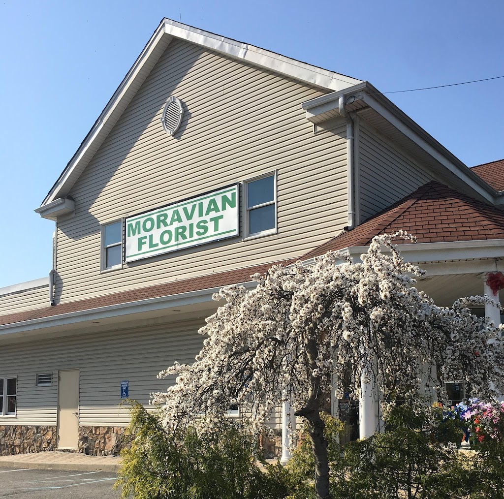 Moravian Florist