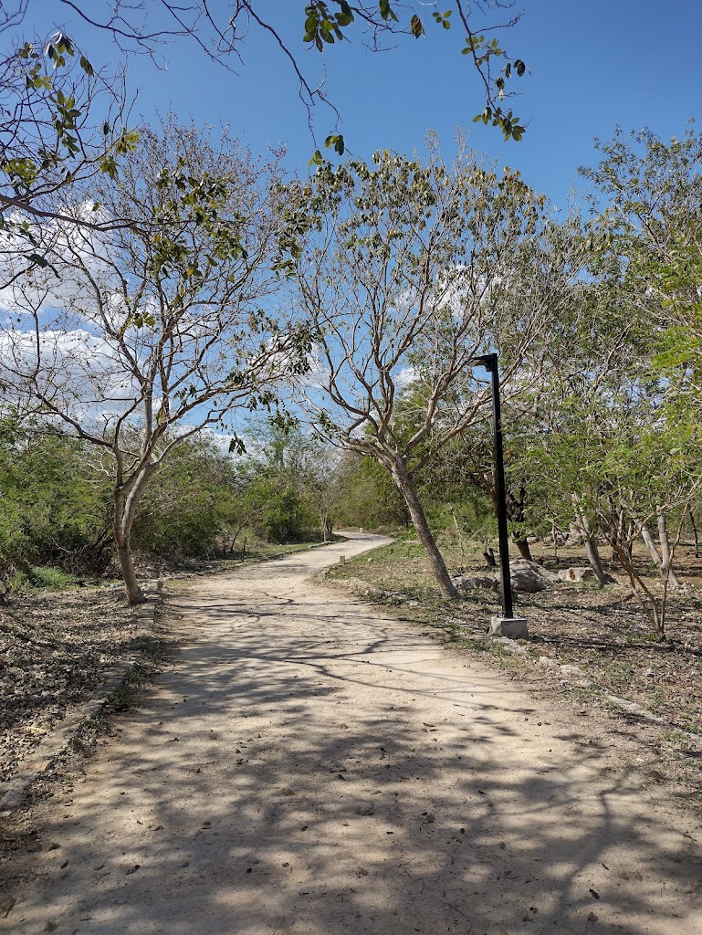 Parque Arqueo-ecologico del Poniente