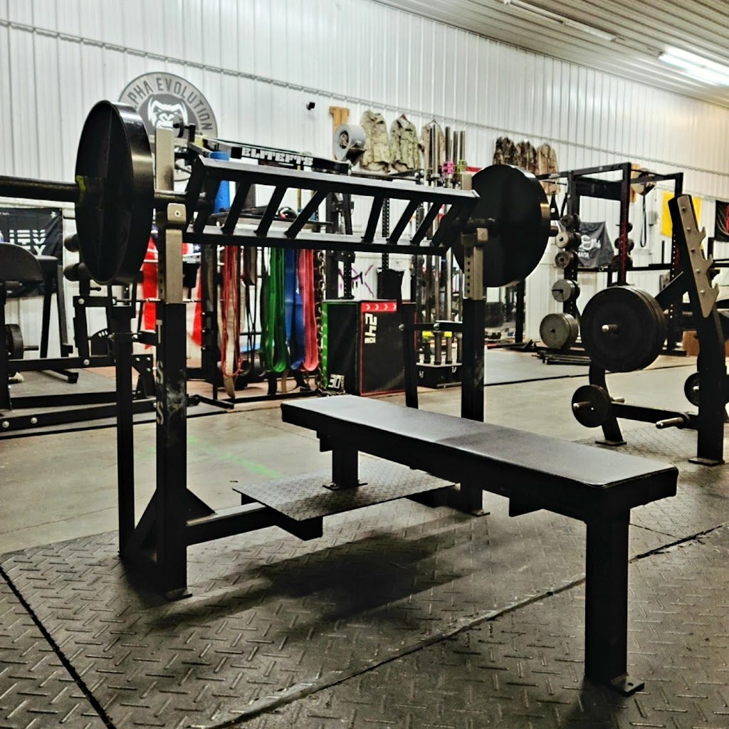  Alpha Evolution Fitness & Training, LLC