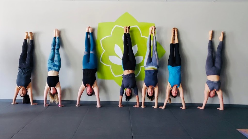  Hapa Yoga & Fitness
