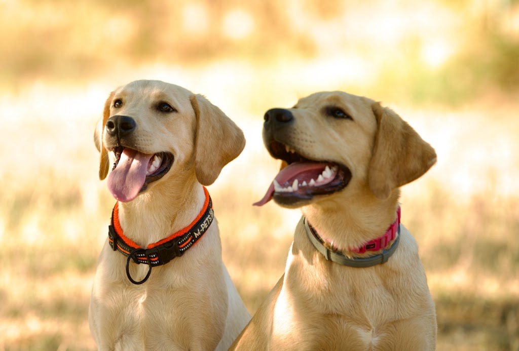 Espai Natura Calonge